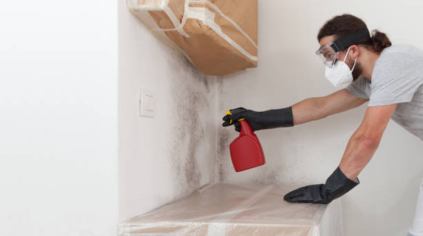 Professional Black Mold Remediation technician working in Hazlet, NJ