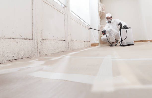 24/7 Emergency Black Mold Remediation experts in Hazlet, NJ