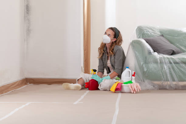 Reliable Black Mold Remediation contractor in Hazlet, NJ by 24 Hour Mold Removal
